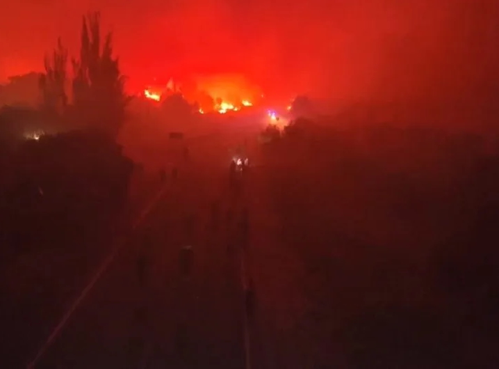 Il Principe Alberto II esprime solidarietà alle vittime degli incendi che colpiscono l'Europa