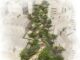 Il Governo del Principato svela la strategia per rendere Monaco più verde e vivibile di fronte al cambiamento climatico.