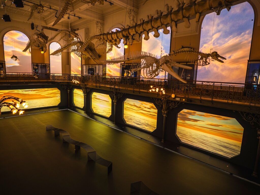 UN MILIONE DI VISITATORI PER "MÉDITERRANÉE 2050" AL MUSEO OCEANOGRAFICO