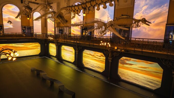 L'esposizione del Museo Oceanografico di Monaco supera il milione di visitatori in 17 mesi e diventa un simbolo della sensibilizzazione ambientale.