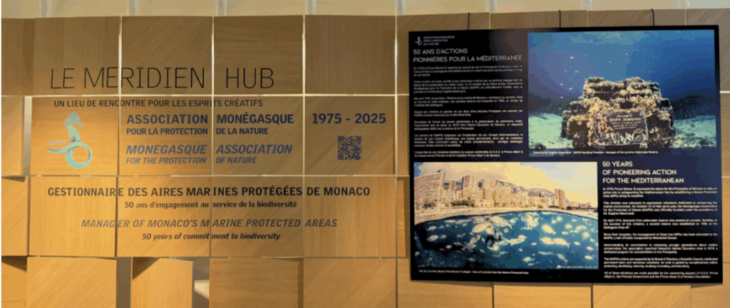 All'Hotel Méridien Beach Plaza una mostra fotografica ripercorre mezzo secolo di impegno dell'Associazione Monegasca per la Protezione della Natura (AMPN) per la tutela del Mediterraneo