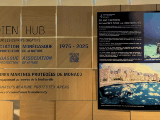 All'Hotel Méridien Beach Plaza una mostra fotografica ripercorre mezzo secolo di impegno dell'Associazione Monegasca per la Protezione della Natura (AMPN) per la tutela del Mediterraneo.