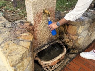 Le fontanelle di Monaco da oltre 140 anni dissetano residenti e visitatori. Oggi sono 78 e rappresentano anche un gesto concreto contro la plastica.
