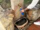 Le fontanelle di Monaco da oltre 140 anni dissetano residenti e visitatori. Oggi sono 78 e rappresentano anche un gesto concreto contro la plastica.