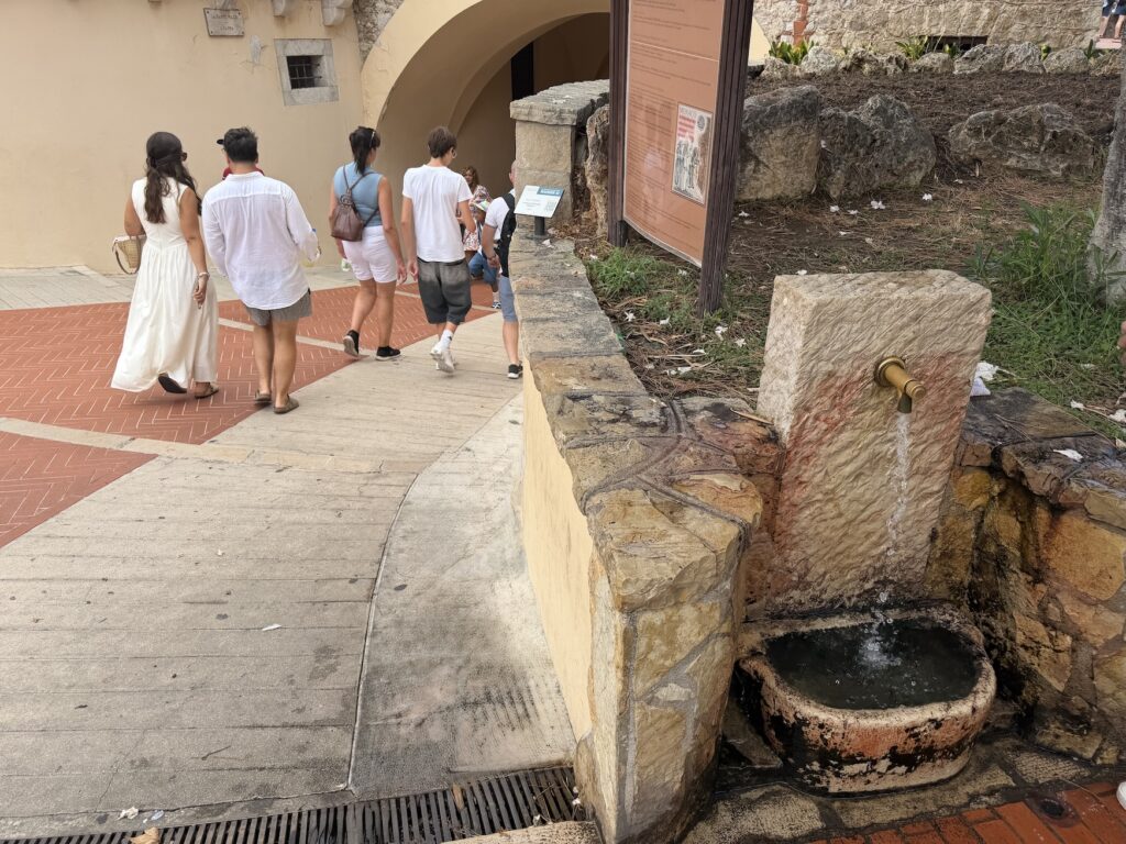 La fontana sulla piazza di Palazzo, accanto alla Rampe Major, dove possono abbeverarsi anche i cani.