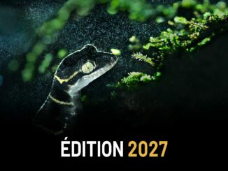 la Fondazione Principe Alberto II di Monaco ha lanciato l'edizione 2027 del suo Premio internazionale di Fotografia Ambientale.
