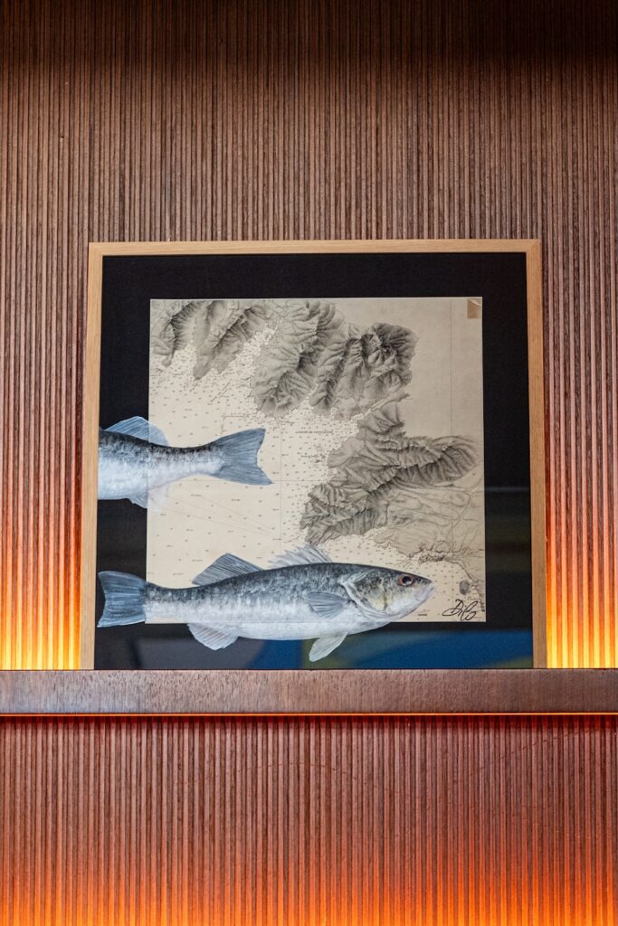 I pesci disegnati su carte nautiche diventano opere d'arte