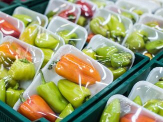 Da questo settembre, saranno vietati numerosi imballaggi in plastica per alimenti freschi pronti al consumo. Il Principato accelera la transizione verso soluzioni più sostenibili.