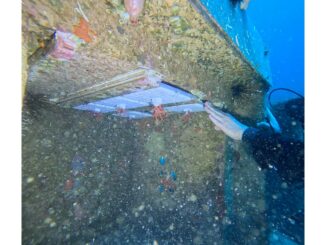 Oltre 800 nuovi coralli osservati dal 2023 nelle grotte sottomarine del Centro Scientifico di Monaco. Ora i ricercatori sperimentano un sistema con la luce.