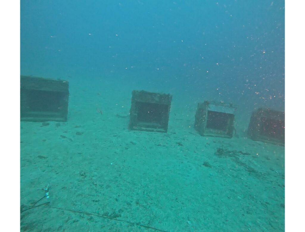 Le grotte per coralli nel fondo del mare di Monaco